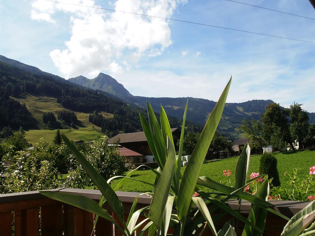 Landhaus Johanna Apartment Dorfgastein Luaran gambar