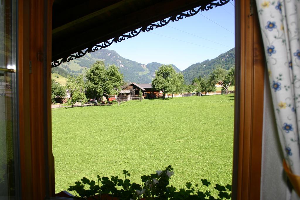 Landhaus Johanna Apartment Dorfgastein Luaran gambar